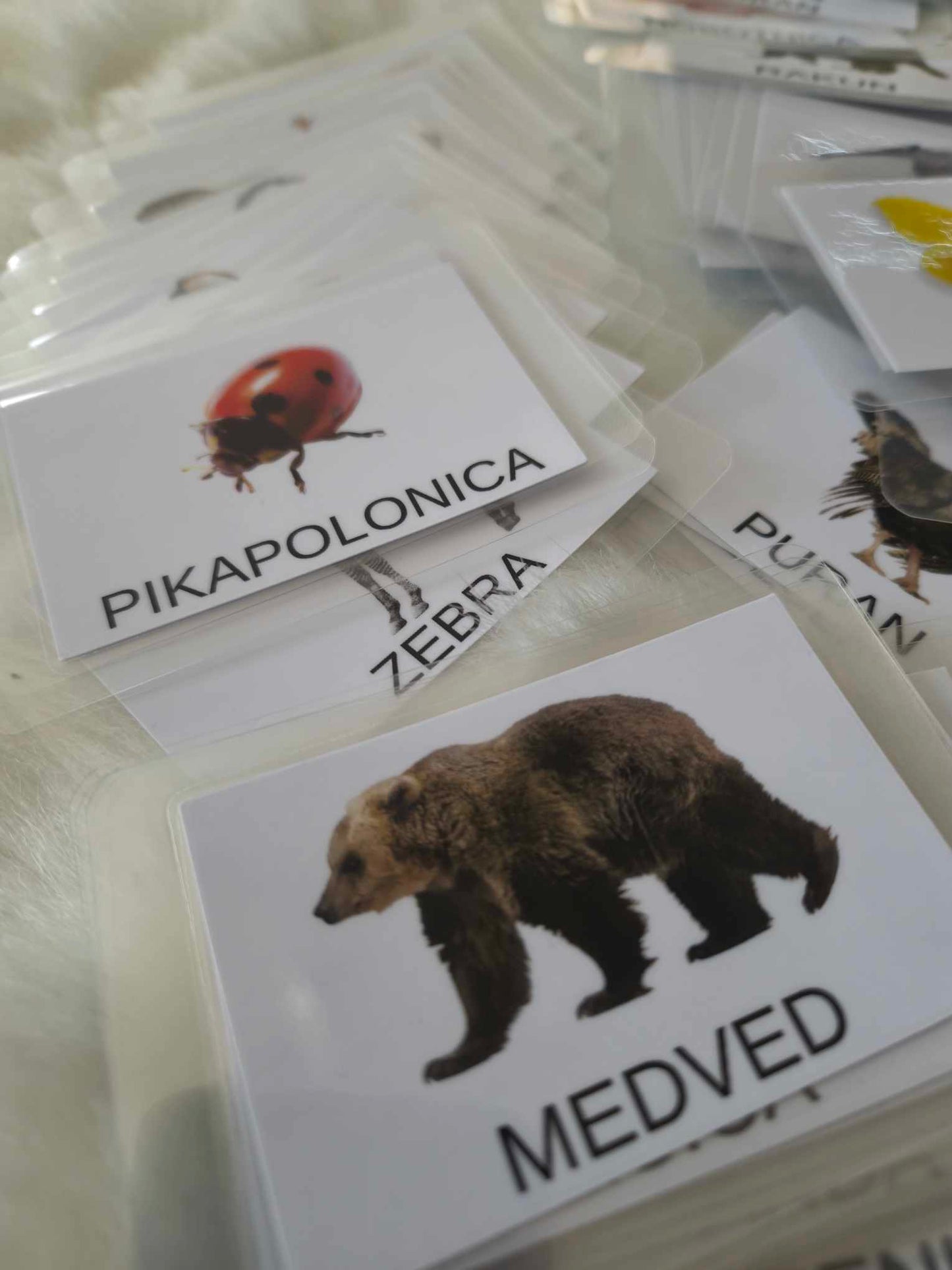 Poučne kartice za otroke