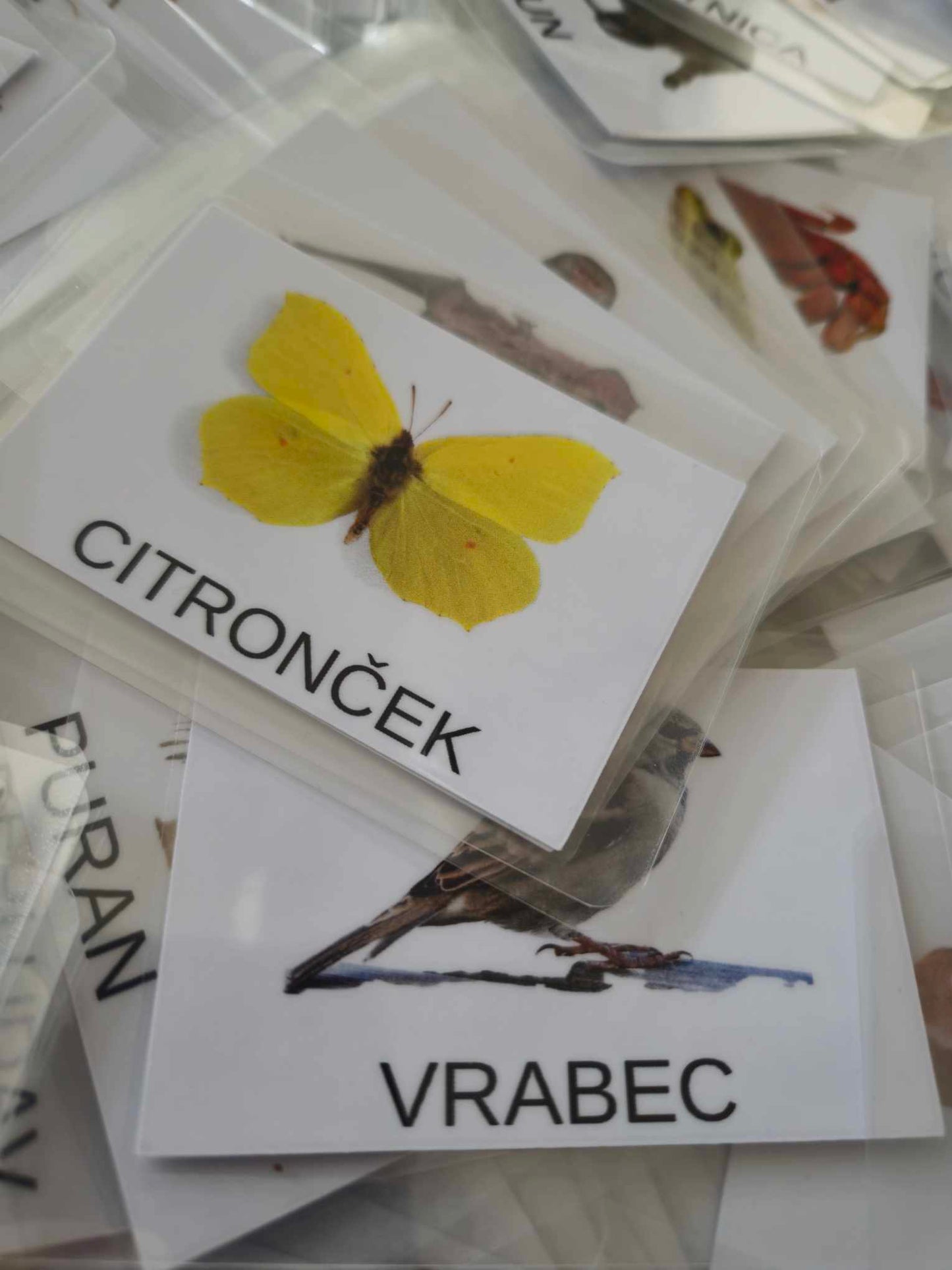 Poučne kartice za otroke
