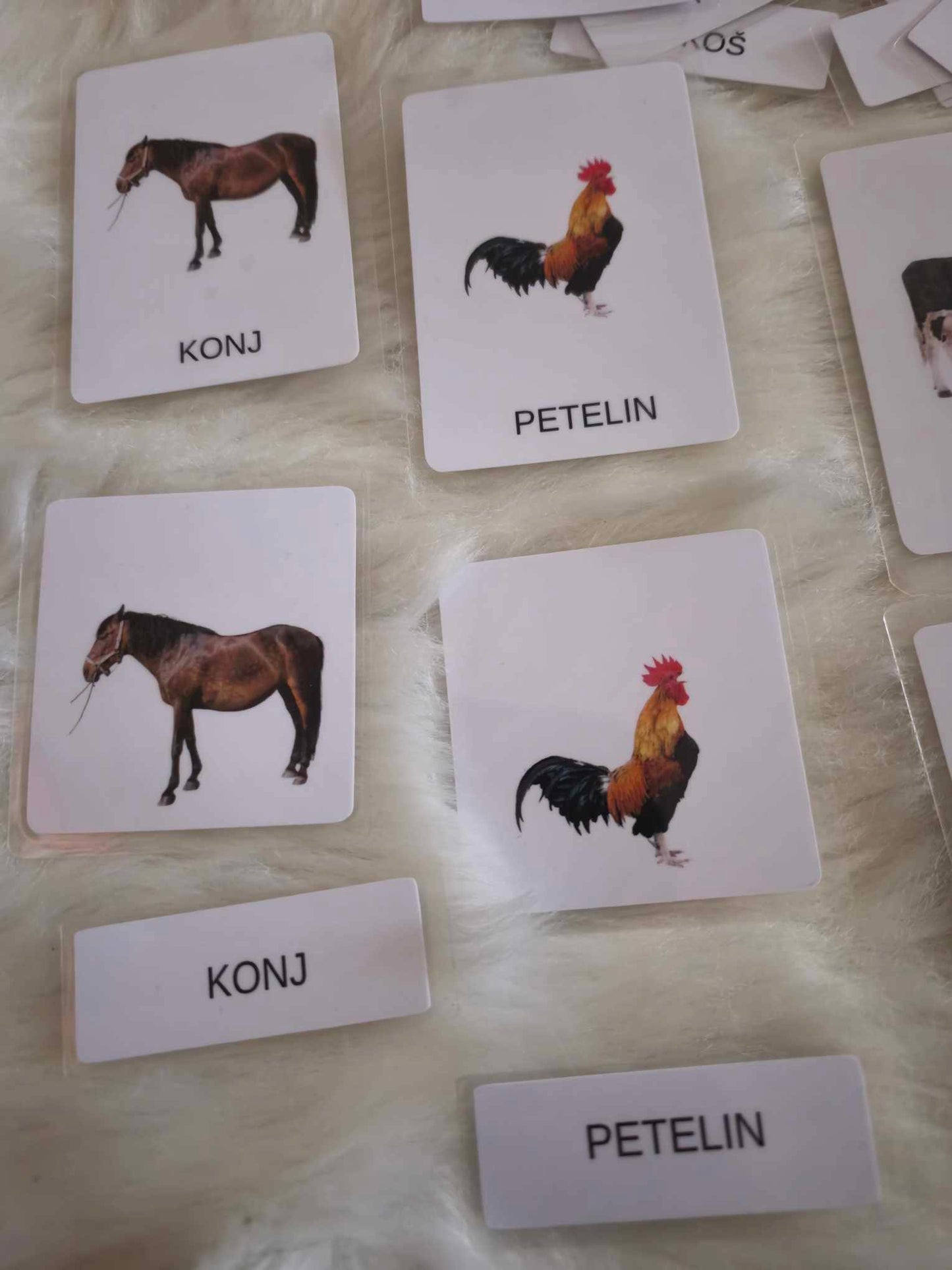 Montessori kartice domače živali