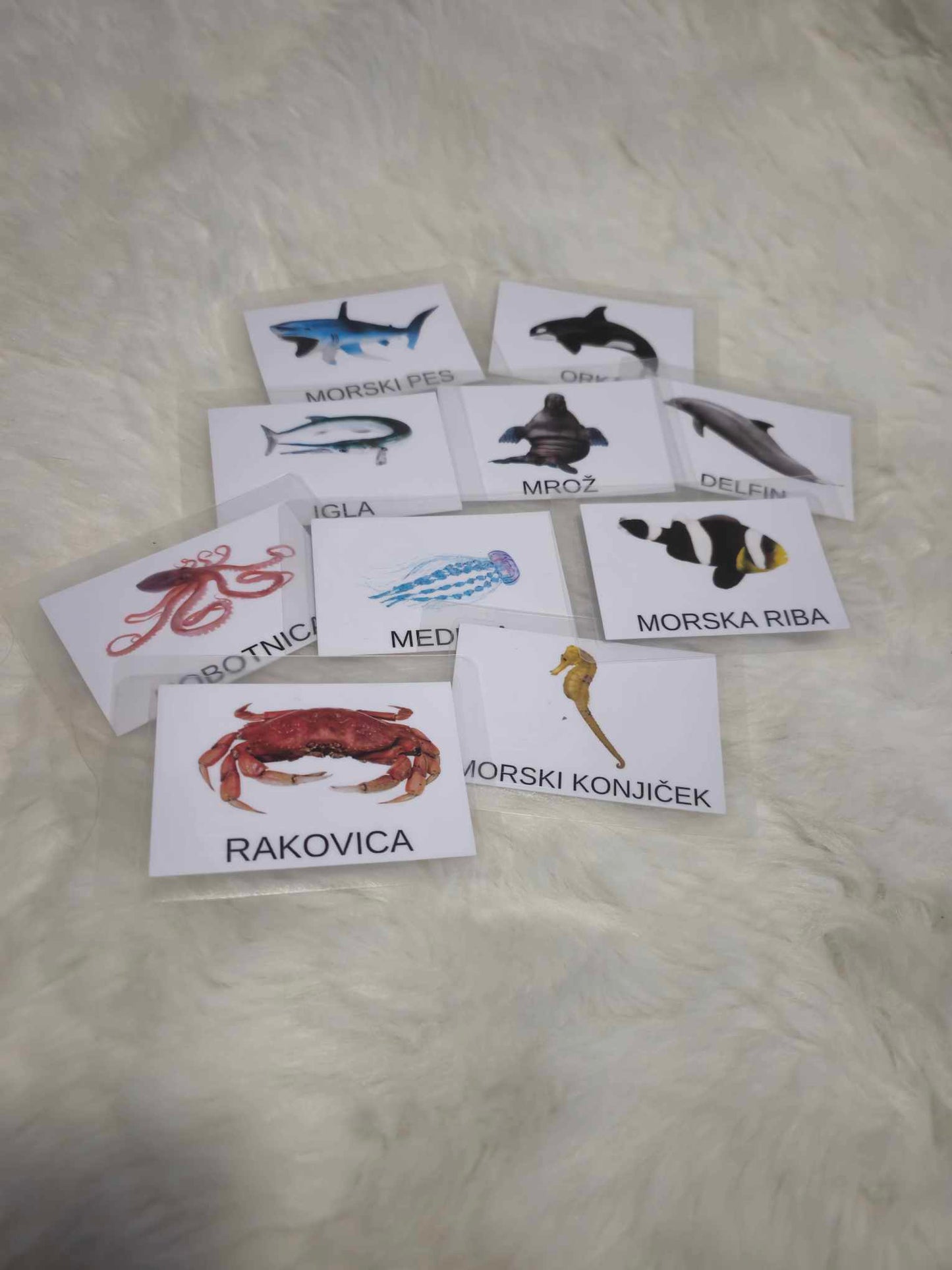 Montessori kartice morske živali