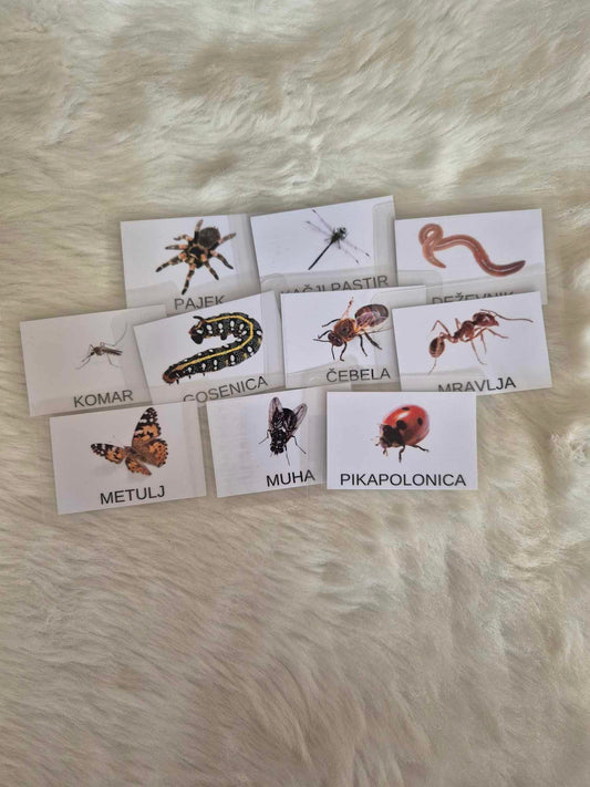 Montessori kartice Žuželke