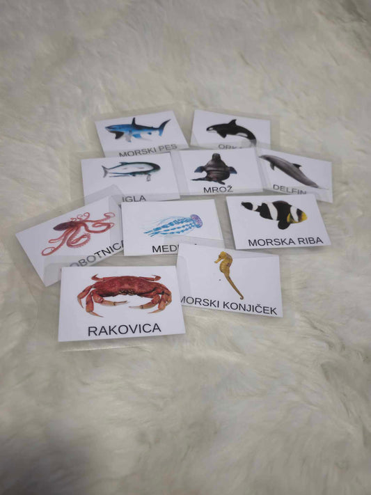 Montessori kartice morske živali
