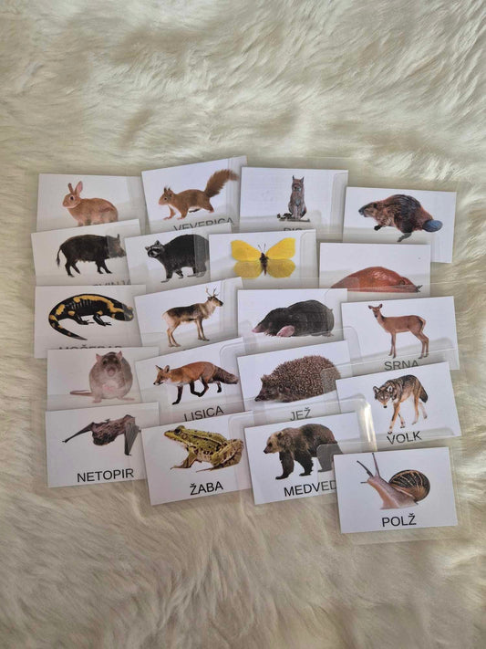Montessori kartice Gozdne živali